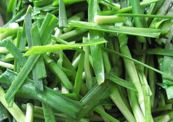 孕妇能吃韭菜吗?