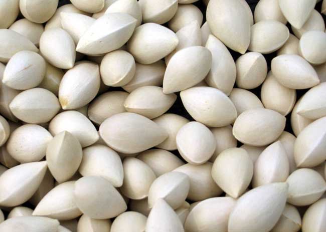 白果中毒的症状及防治办法