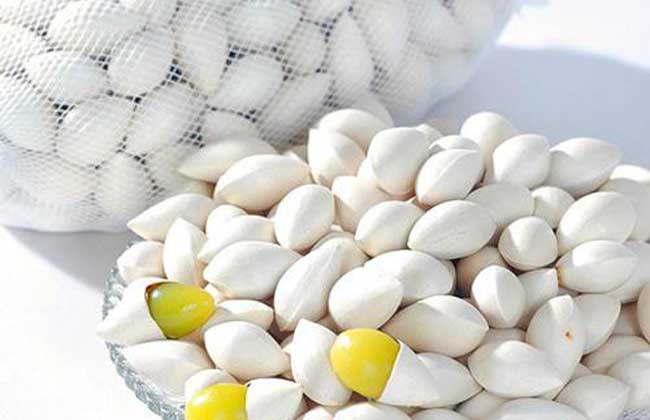 白果中毒的症状及防治办法