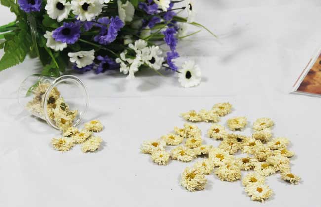 孕妇能喝菊花茶吗？