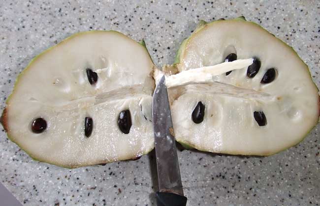 孕妇可以吃番荔枝吗？