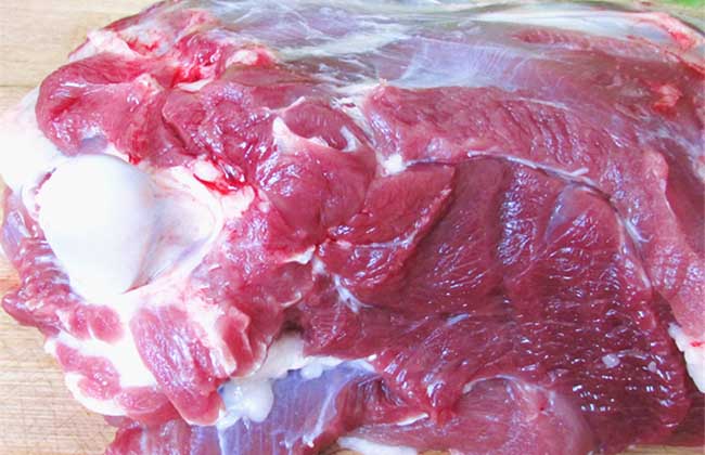 孕妇能吃羊肉吗?