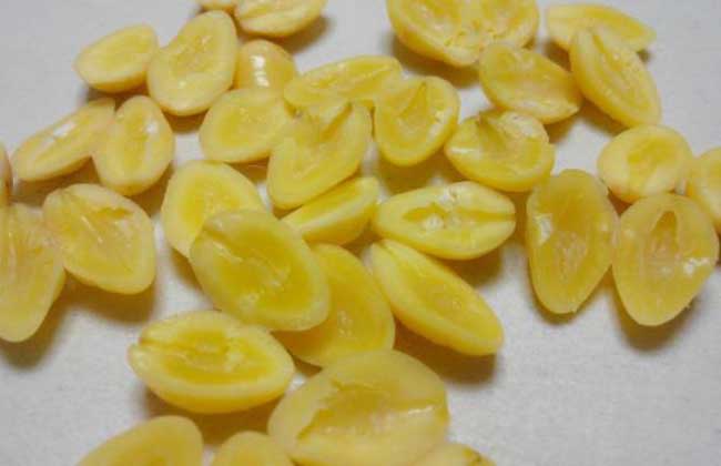 白果不能和什么一起吃？