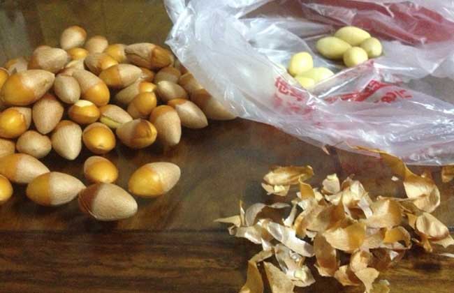 白果不能和什么一起吃？