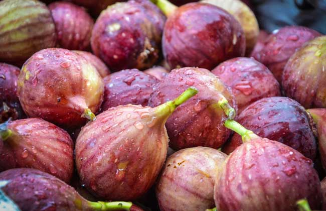 无花果的皮可以吃吗?