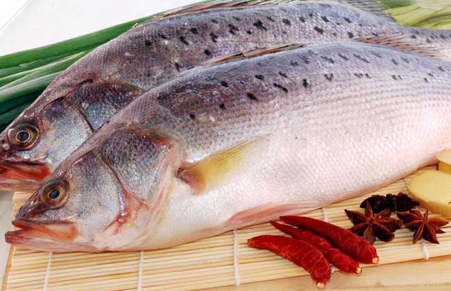 鲈鱼不能和什么一起吃？