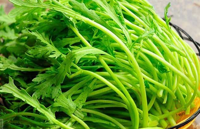 茼蒿不能和什么一起吃？