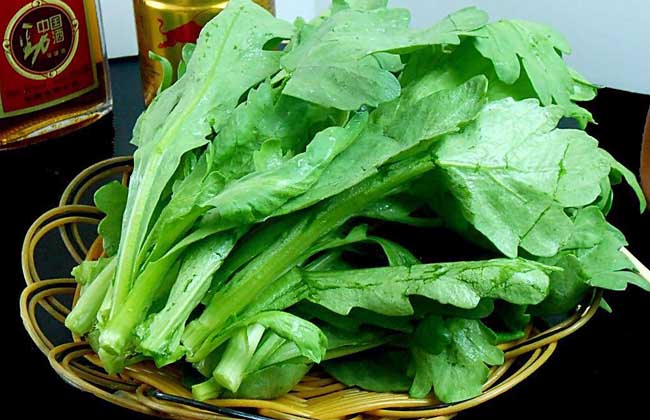 茼蒿不能和什么一起吃？