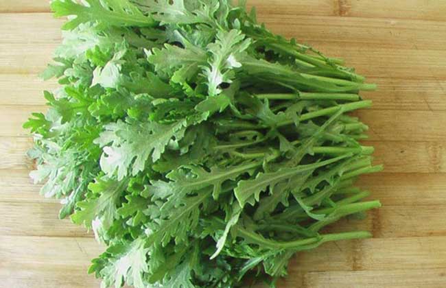 茼蒿不能和什么一起吃？