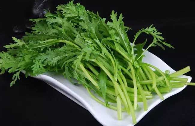 什么人不能吃茼蒿？