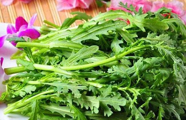 什么人不能吃茼蒿？