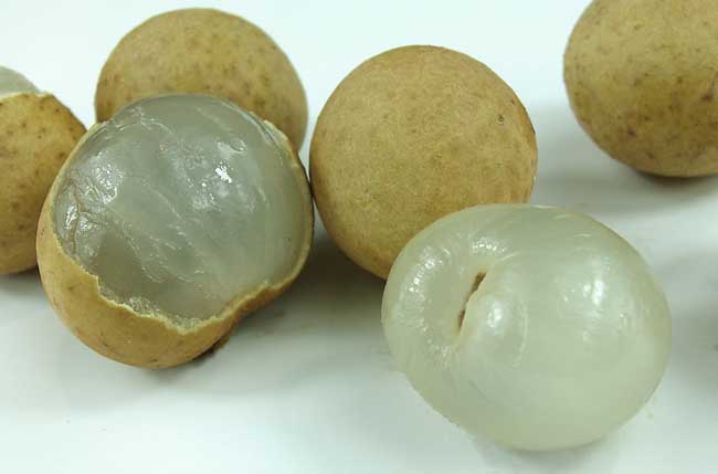 龙眼的功效与作用及禁忌