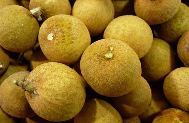 龙眼的功效与作用及禁忌