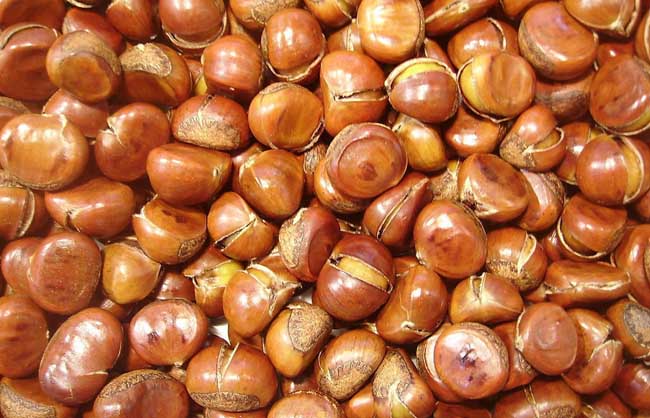 板栗的营养价值及功效