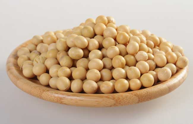 黄豆的功效与作用