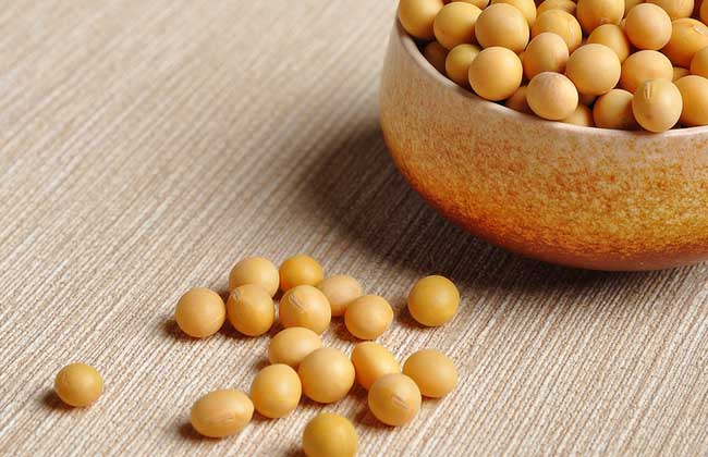 黄豆的功效与作用