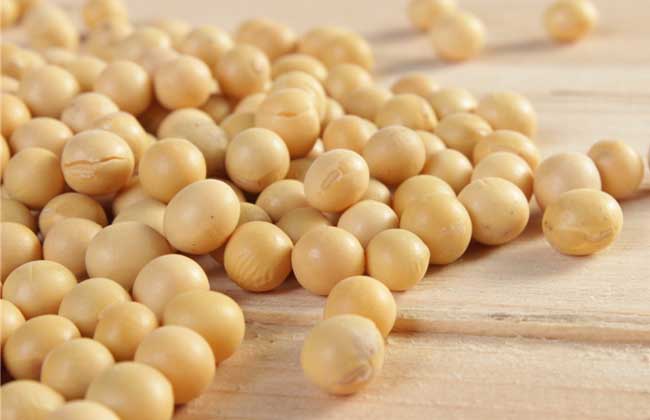 黄豆的功效与作用
