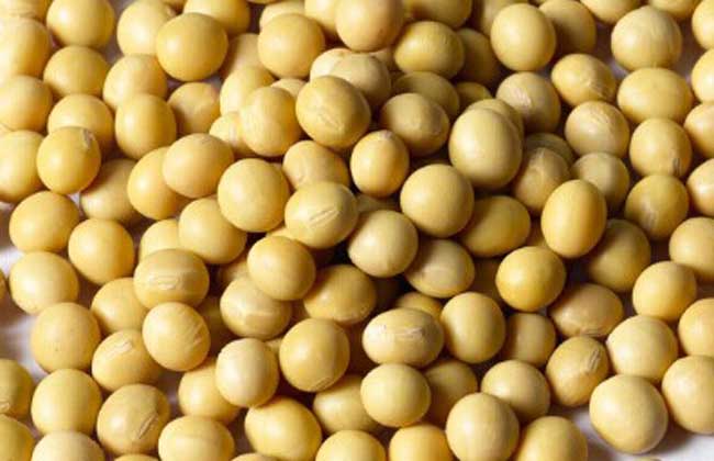 吃黄豆有什么好处？