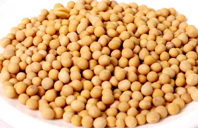 吃黄豆有什么好处？
