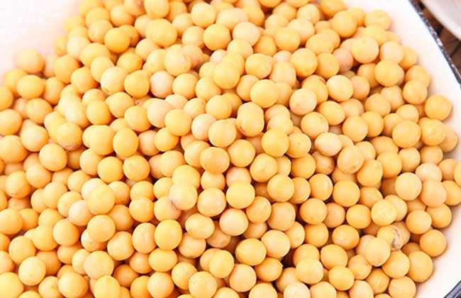 吃黄豆有什么好处？
