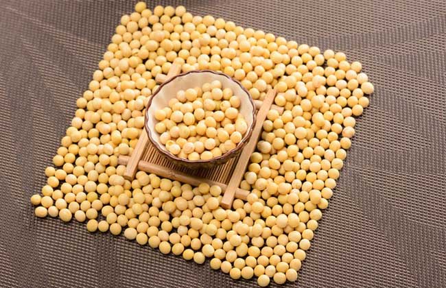 吃黄豆有什么好处？