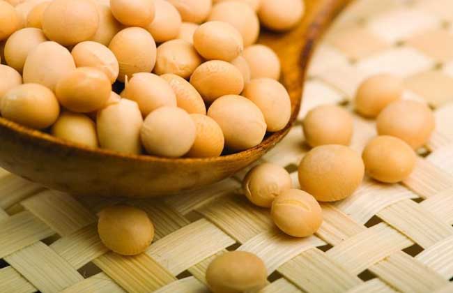 吃黄豆有什么好处？