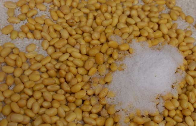 吃黄豆有什么好处？