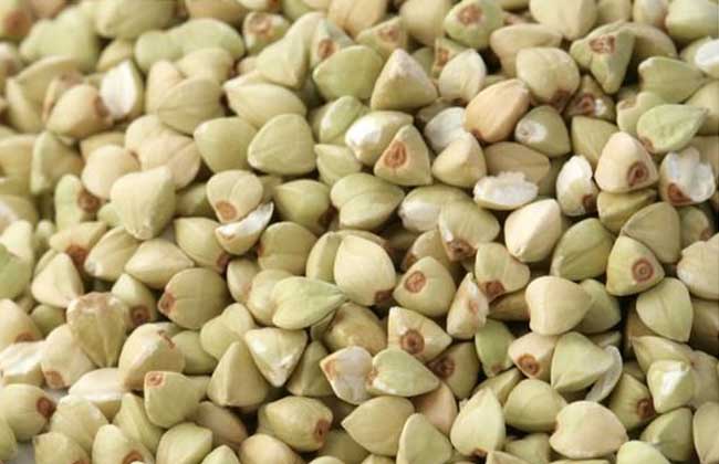 荞麦的功效与作用