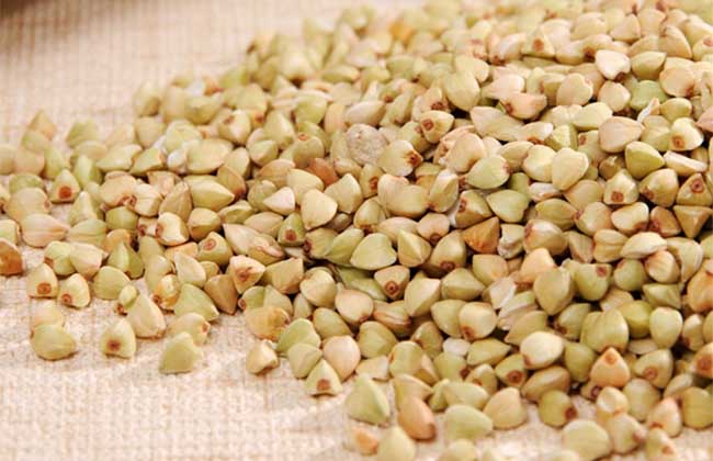 荞麦的功效与作用