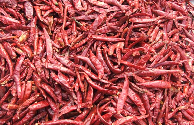 辣椒的功效与作用及禁忌