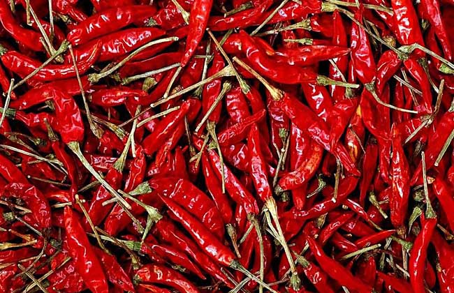 辣椒的功效与作用及禁忌