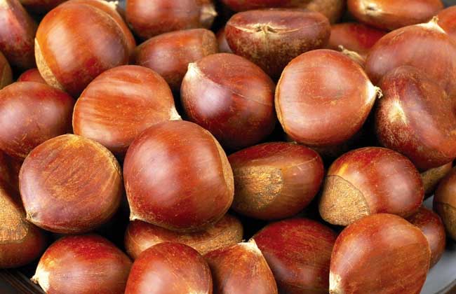 板栗的功效与作用及食用方法
