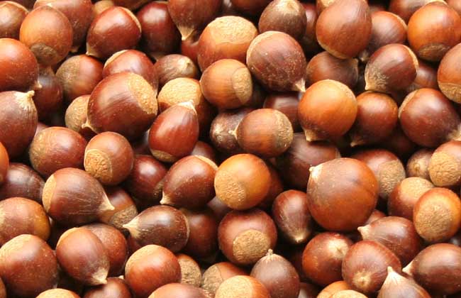 板栗的功效与作用及食用方法