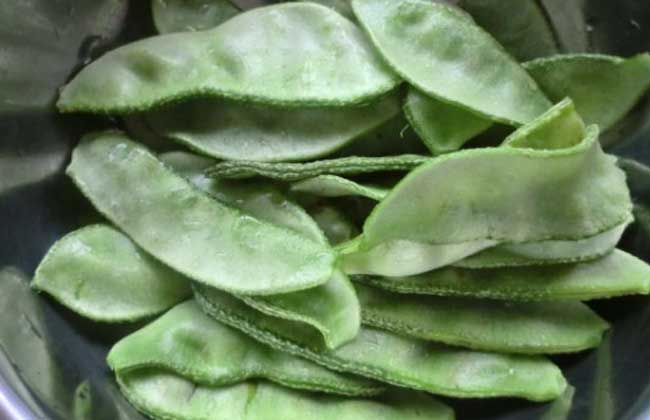 扁豆的功效与作用及食用方法