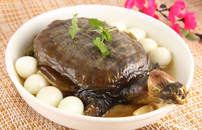 甲鱼的做法大全