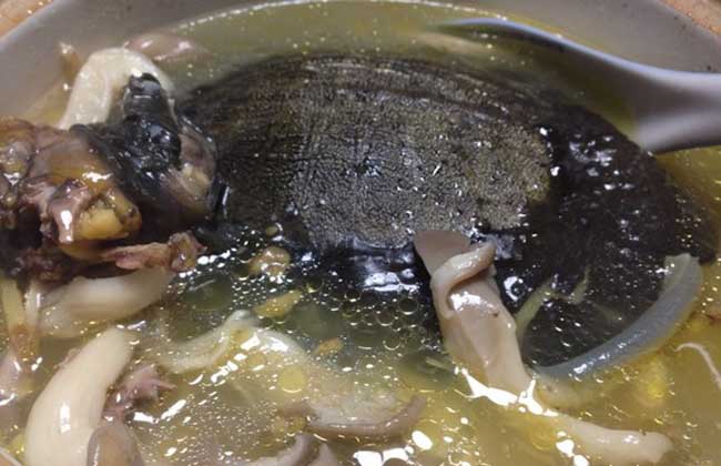 甲鱼的做法大全