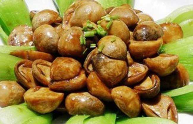 青菜草菇