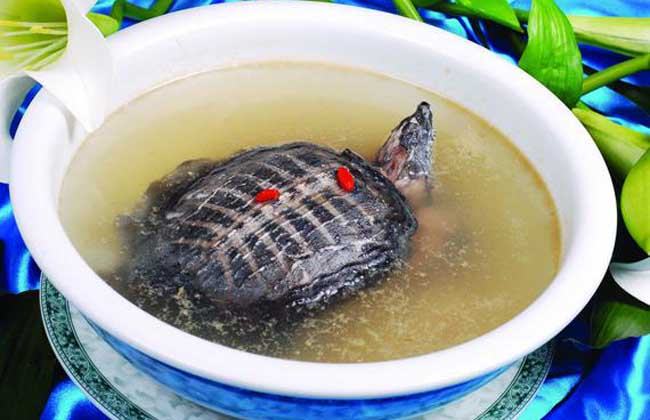 铁板甲鱼是真的吗?