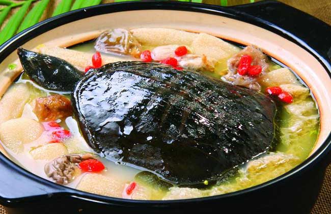 甲鱼补肾汤的家常做法