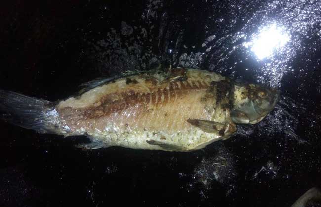 鸡骨草煲汤的做法大全