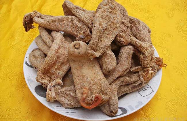 天麻钩藤饮的组成和功效