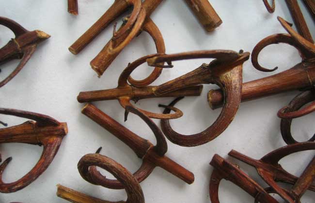 天麻钩藤饮的组成和功效