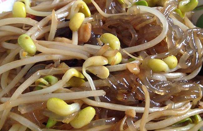 黄豆芽怎么做好吃?