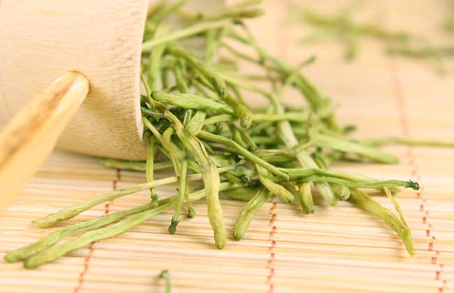 当归怎么吃效果最好？