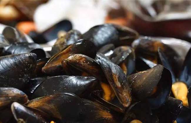 清煮淡菜