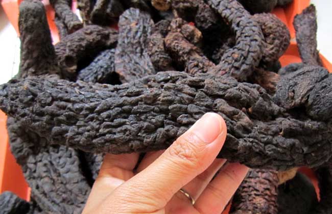 肉苁蓉泡酒配方大全