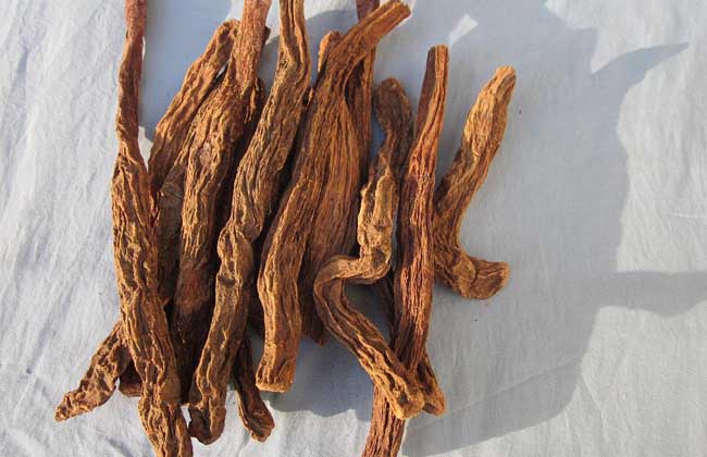 肉苁蓉泡酒配方大全