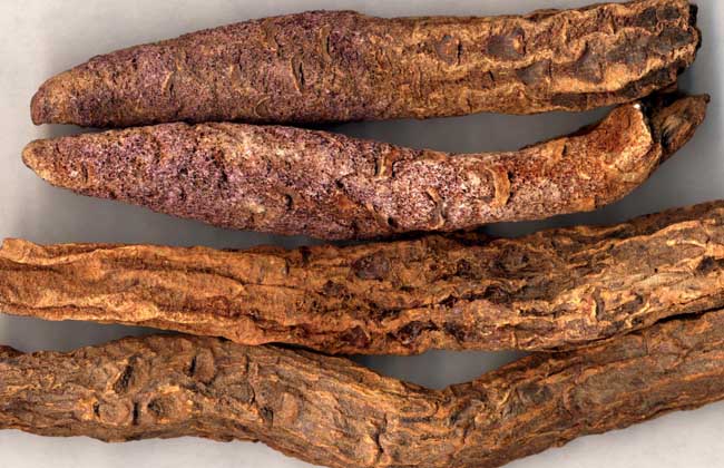 肉苁蓉泡酒配方大全