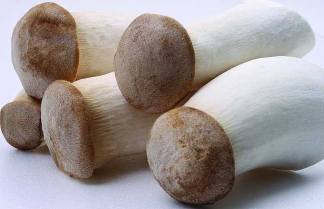 鸡腿菇的家常做法大全