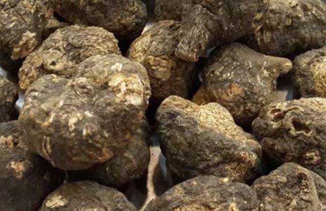 玛卡怎么吃效果最好?